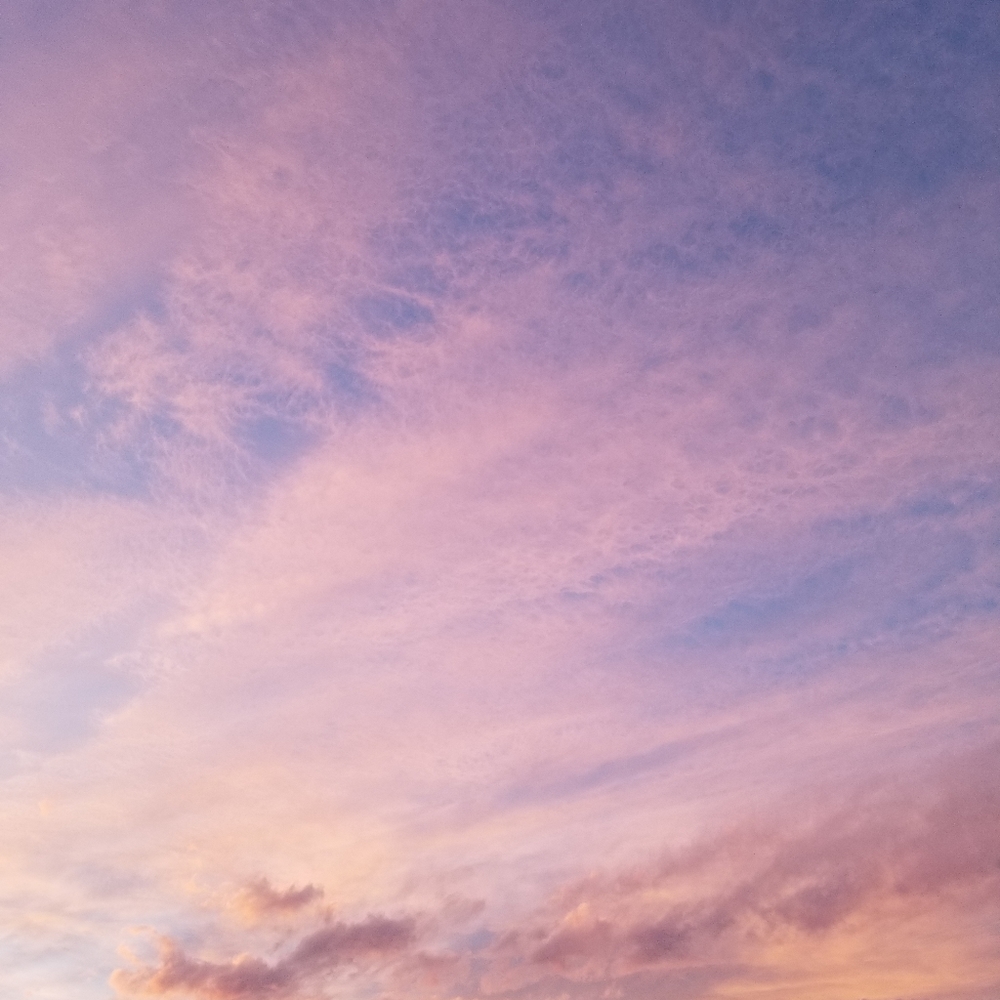 Meet your Posher, Cat P